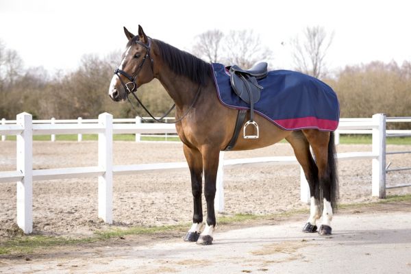 EQUITHÈME „TYREX 1200 D“ Nieren-Decke mit Polar-Fleece-Futter