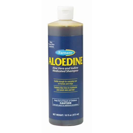 Aloedine Shampoo 473 ml