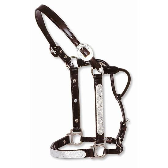 Circle Y Show Halter – Engraved Silver Horse