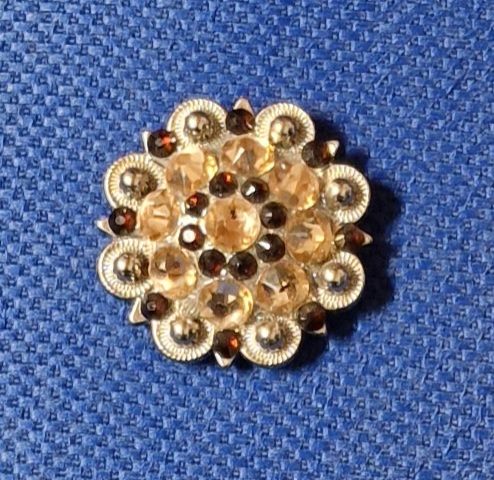 Concho Swarowski Strass Mocca/Champagne in 1 1/2"