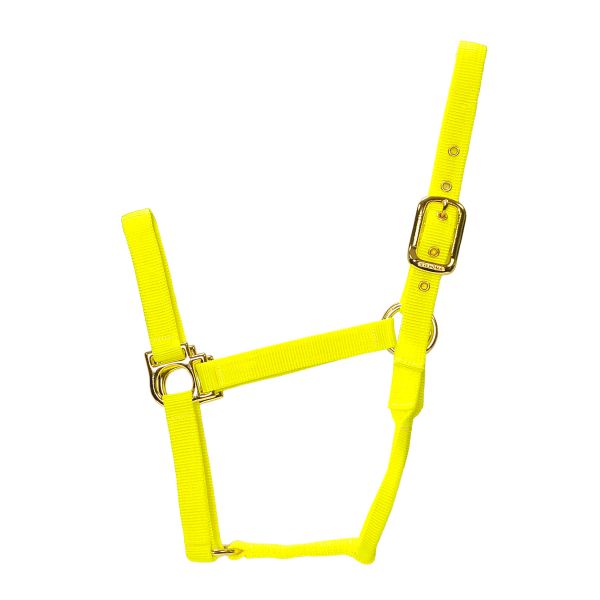 Valhoma Halfter Q