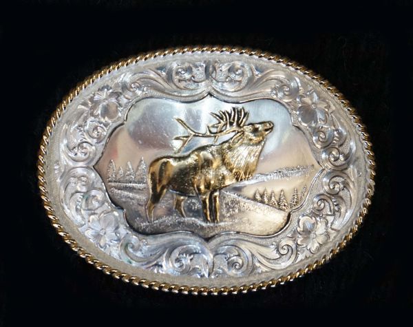 Buckle Elch