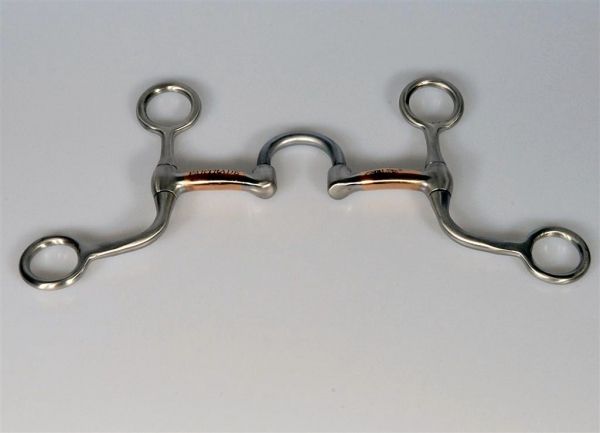 Gebiss SS Brushed D.H. Correction - Short Shank #257333