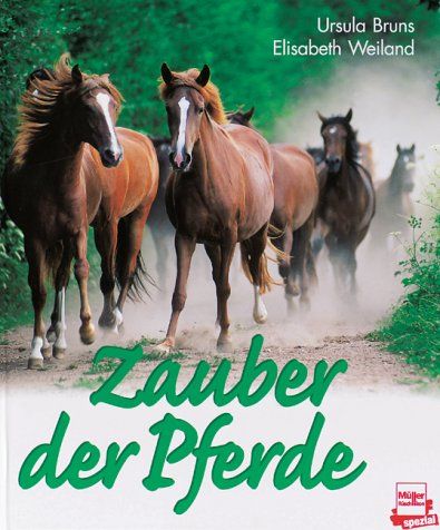 Buch Zauber der Pferde