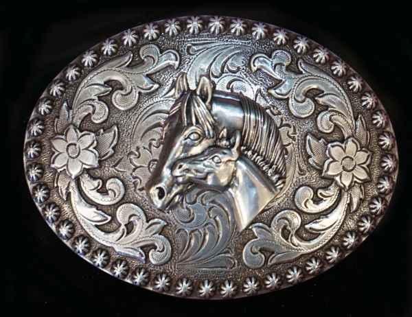 Buckle Stute mit Fohlen