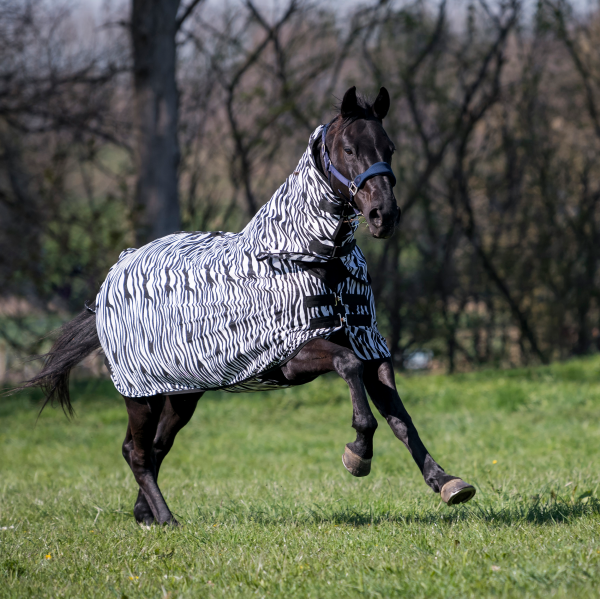 Fliegendecke-Outdoor- COMFORT PRO ZEBRA versch.Größen