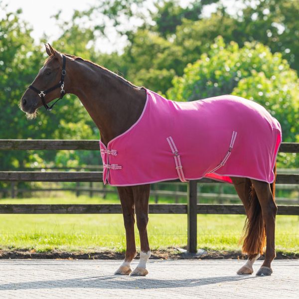 Abschwitzdecke mit Kreuzgurtung in verschiedenen Farben