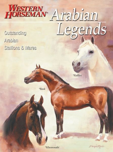 Buch Arabian Legends