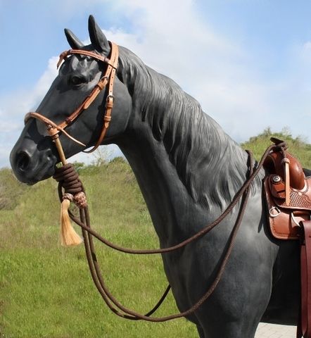 Hackamore Set / Bosal Kopfstück mit Mecate